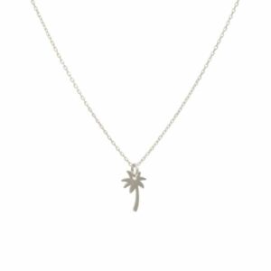 collar palm tree plata